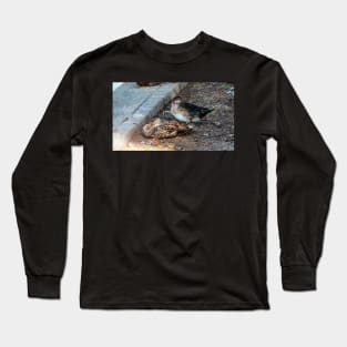 Wood Duck Resting With Another Duck Long Sleeve T-Shirt